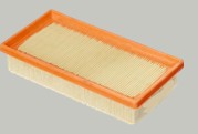 Maruti Air filter